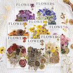 Yoksas Pressed Flower Wax Seal Stickers Set - Image 2
