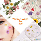 200Pcs Dried Pressed Flowers Resin Mould Real Flowers Natural Dry Leaves Bulk - Image 6