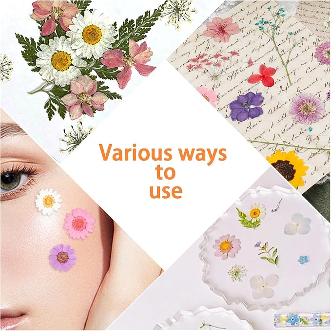 200Pcs Dried Pressed Flowers Resin Mould Real Flowers Natural Dry Leaves Bulk - Image 6
