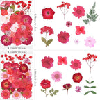 110Pcs Red Dried Pressed Flowers - Image 2