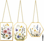 BABUFINE 3PCS Pressed Flower Frames by BABUFINE