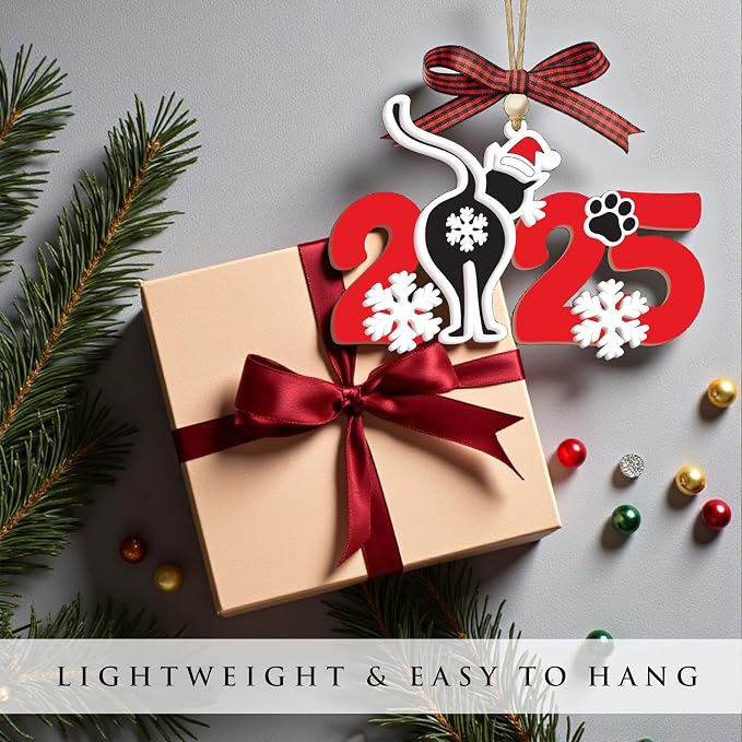 God Say You are Christian Christmas Ornament 2025, God Says I am 2D Flat - Image 4