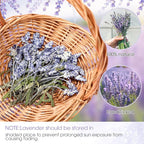 Wavwavw 100 Pcs Pressed Dried Lavender Flowers Stems Natural Preserved Real - Image 5