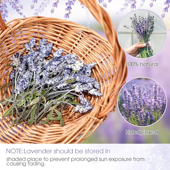 Wavwavw 100 Pcs Pressed Dried Lavender Flowers Stems Natural Preserved Real - Image 5