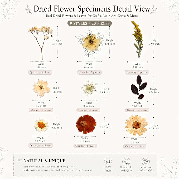 LUXEEASE 100P Vintage Warm Tone Dried Pressed Flowers | Cream caramel yellow - Image 8