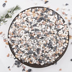 Pulovin 5 lbs Small Rocks for Plants, 1/5 Inch Pebbles for Indoor Plants by GardenSteward