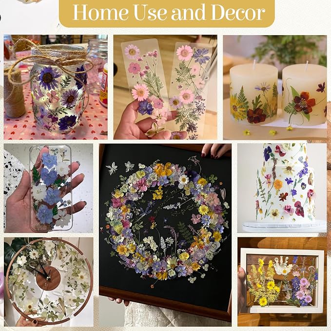 85Pcs Pressed Flowers for Crafts, Colorful Dried Flowers for Crafts Real - Image 6