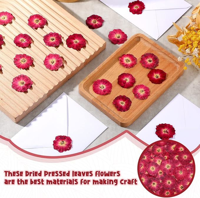 Woanger 100 pcs Dried Pressed Flowers Small Dry Flowers Real Natural Resin - Image 4