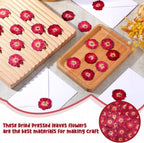 Woanger 100 pcs Dried Pressed Flowers Small Dry Flowers Real Natural Resin - Image 4