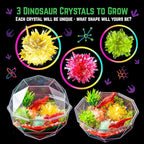 Original Stationery Dinosaur Crystal Growing Kit - Image 4