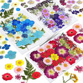 Dried Flowers for Resin | 120pcs Natural Flowers and Leaves Compressed by CONVELIFE