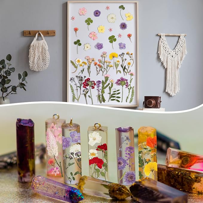 Nuanchu Dried Pressed Flowers for Crafts Resin Real Flat Dried Wildflowers Bulk - Image 6