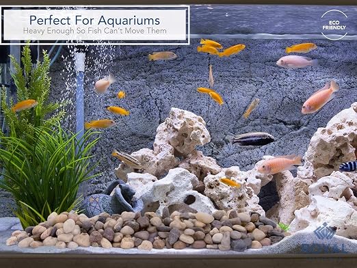 River Rocks Decorative Ornamental Vase Filler 1"-1.5" Natural Aquarium Gravel 2 - Image 4