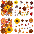 130Pcs Orange Fall Pressed Dried Flowers and Butterfly - Image 5