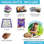 DANCING BEAR Rock, Mineral & Geodes Treasure Hunt Activity Kit Real Shark Teeth - Image 4