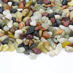 10 lb Pebbles for Indoor Plants, 3/8 Inch Decorative Rocks for Potted Plants - Image 3