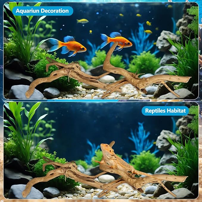 3 Pcs Natural Spiderwood for Aquarium, Aquarium Driftwood Freshwater 10-12 Inch - Image 6
