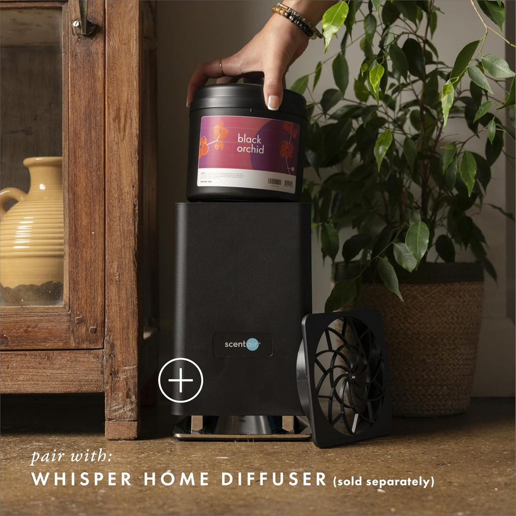 ScentAir Whisper Home Monthly Plug-in Refill, Fragrance Cartridge for Home and Office, Black Orchid