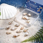 SUNNYCLUE 1 Box 16Pcs 4 Style Ocean Beach Spiral Seashells Craft Charms - Image 4