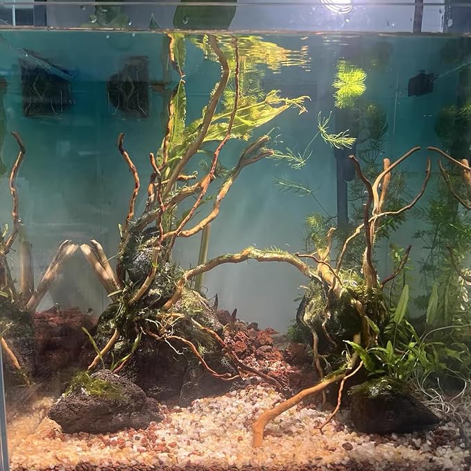 kathson Natural Driftwood for Aquarium - Image 7