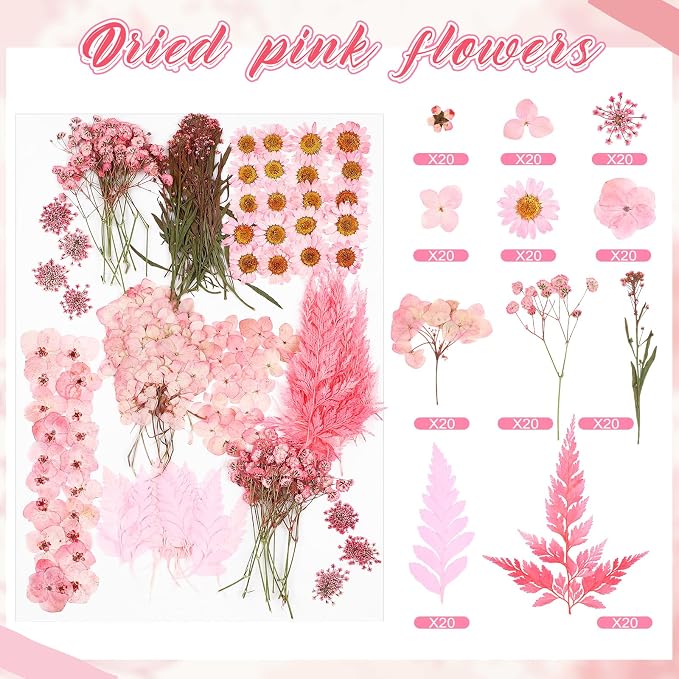 Fabbay 200 Pcs Dried Pressed Flowers Real Dry Natural Flower Leaf Dried Flowers - Image 3