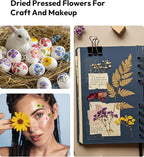Dried Flowers, Resiners 100Pcs Pressed Flowers - Image 9