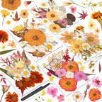 Dried Pressed Flowers for Resin, Real Pressed Flowers Dry Leaves Bulk Natural by Cruzix