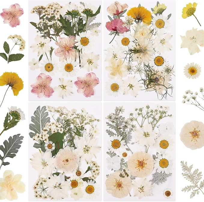 NESCCI 83 Pcs Dried Flowers for Crafts, Real Natural Dried Pressed Flowers in by NESCCI