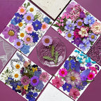MIKIYA 91Pcs Purple Pressed Dried Flowers - Image 3