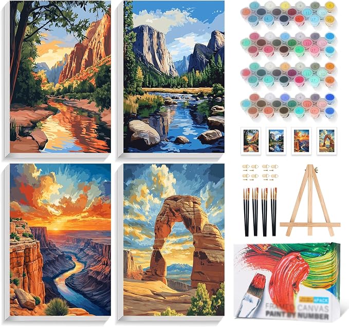 4 Pack Framed Paint by Numbers Kit by Yezavesu