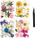 Nuanchu Dried Flower for Crafts Resin Pressed Flowers Bulk Real Dried by Nuanchu