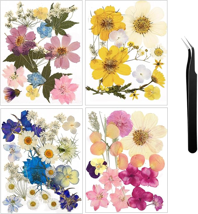 Nuanchu Dried Flower for Crafts Resin Pressed Flowers Bulk Real Dried by Nuanchu