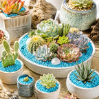 Blue Succulent and Cacus Gravels, Fairy Garden Mini Rocks, 0.88 LB, 3-5mm | - Image 3