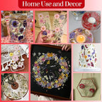 85Pcs Pressed Flowers for Crafts, Real Dried Flowers for Crafts Dried Pressed - Image 5