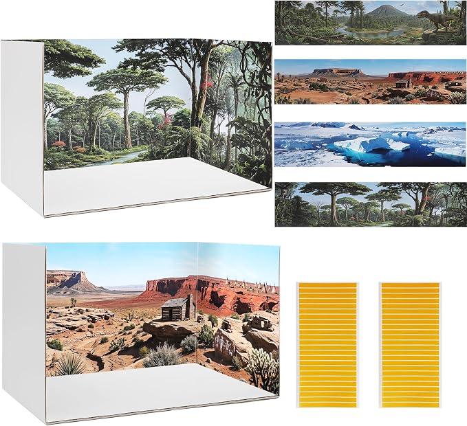 DZrudun 2Pcs Diorama Box for School Projects and 4 Habitat Background Cards | by DZrudun