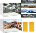 DZrudun 2Pcs Diorama Box for School Projects and 4 Habitat Background Cards | by DZrudun