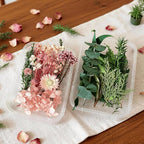 2PCS Dried Flowers Kit, Natural Dried Flowers Kit - Image 3