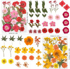 LUXEEASE 80P Yellow Red Pink Blue Dried Pressed Flowers | Fresh natural color - Image 2