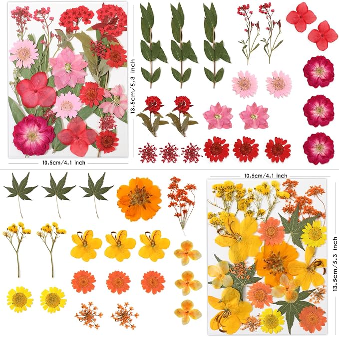 LUXEEASE 80P Yellow Red Pink Blue Dried Pressed Flowers | Fresh natural color - Image 2