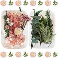 2PCS Dried Flowers Kit, Natural Dried Flowers Kit by Unknown