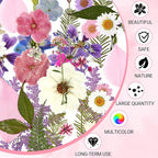 Augshy Dried Pressed Flowers Dry Leaves, Scrapbooking - Image 3