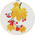 Awesocrafts Cross Stitch Kits Golden Age 11CT Stamped Patterns Easy Cross by Awesocrafts