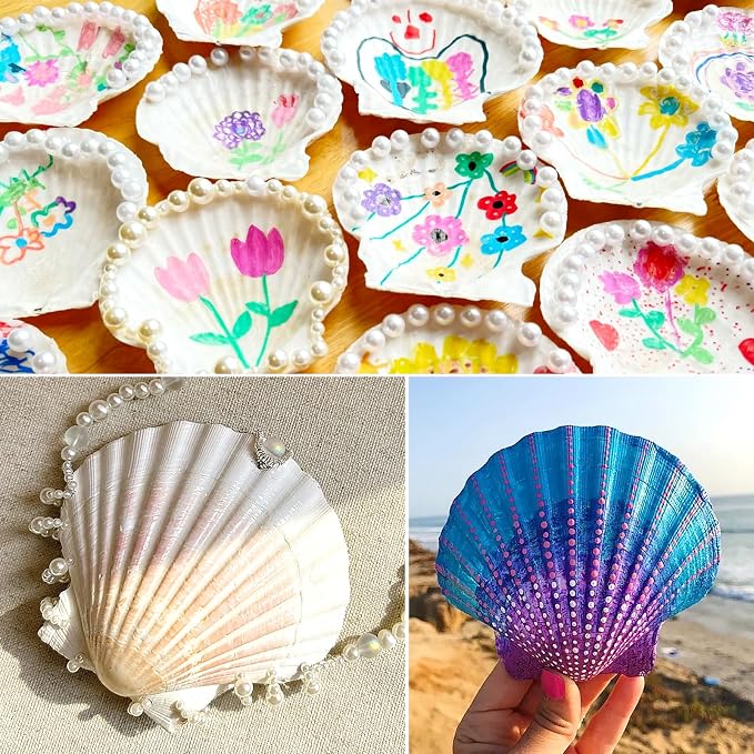 12 PCS Scallop Shells Natural Seashell, Fish Tank and Vase Filler - Image 6