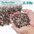 2.5lbs Mix Horticultural Lava Rock - Image 2
