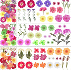 190Pcs Dried Pressed Flowers for Crafts, Xinxinran Dry Flower Kit for Resin - Image 4