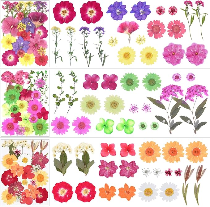 190Pcs Dried Pressed Flowers for Crafts, Xinxinran Dry Flower Kit for Resin - Image 4