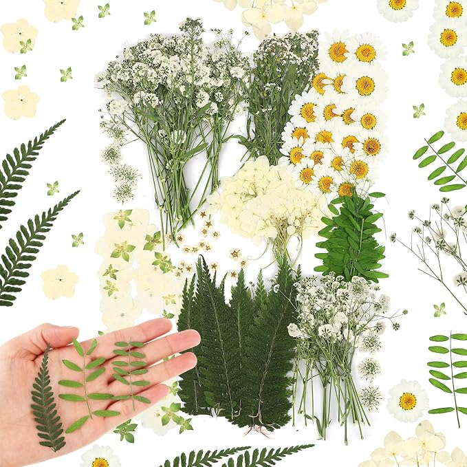Fabbay 200 Pcs Dried Pressed Flowers Real Dry Natural Flower Leaf Dried Flowers by Fabbay