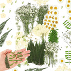 Fabbay 200 Pcs Dried Pressed Flowers Real Dry Natural Flower Leaf Dried Flowers by Fabbay
