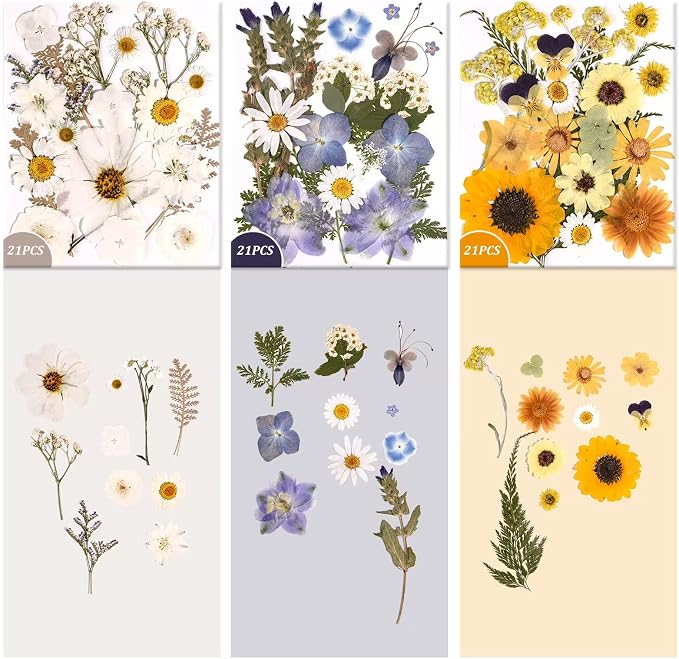 9 Packs of 200 Pressed Dried Flowers and Leaves - Image 4