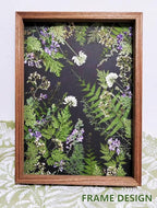 48 Pcs Mix Natural Dried Pressed Ferns - Image 3
